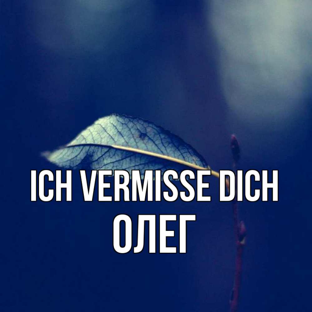 Открытка на каждый день с именем, Олег Ich vermisse dich одна ветка 1 Прикольная открытка с пожеланием онлайн скачать бесплатно 