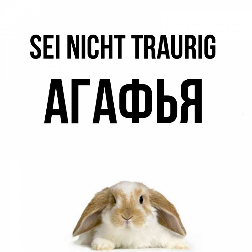 Открытка на каждый день с именем, Агафья Sei nicht traurig коричнево белый заяц с большими ушками Прикольная открытка с пожеланием онлайн скачать бесплатно 