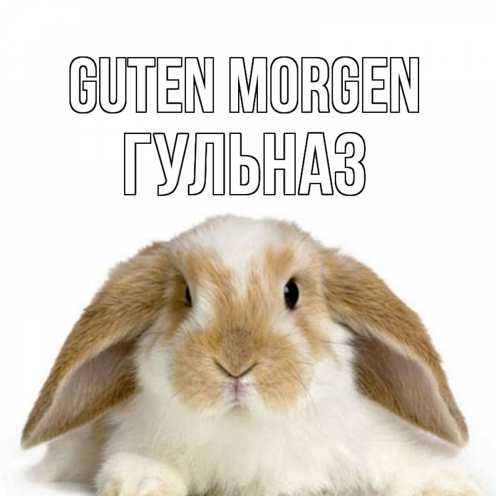 Открытка на каждый день с именем, Гульназ Guten Morgen прикольные открытки на каждый день Прикольная открытка с пожеланием онлайн скачать бесплатно 