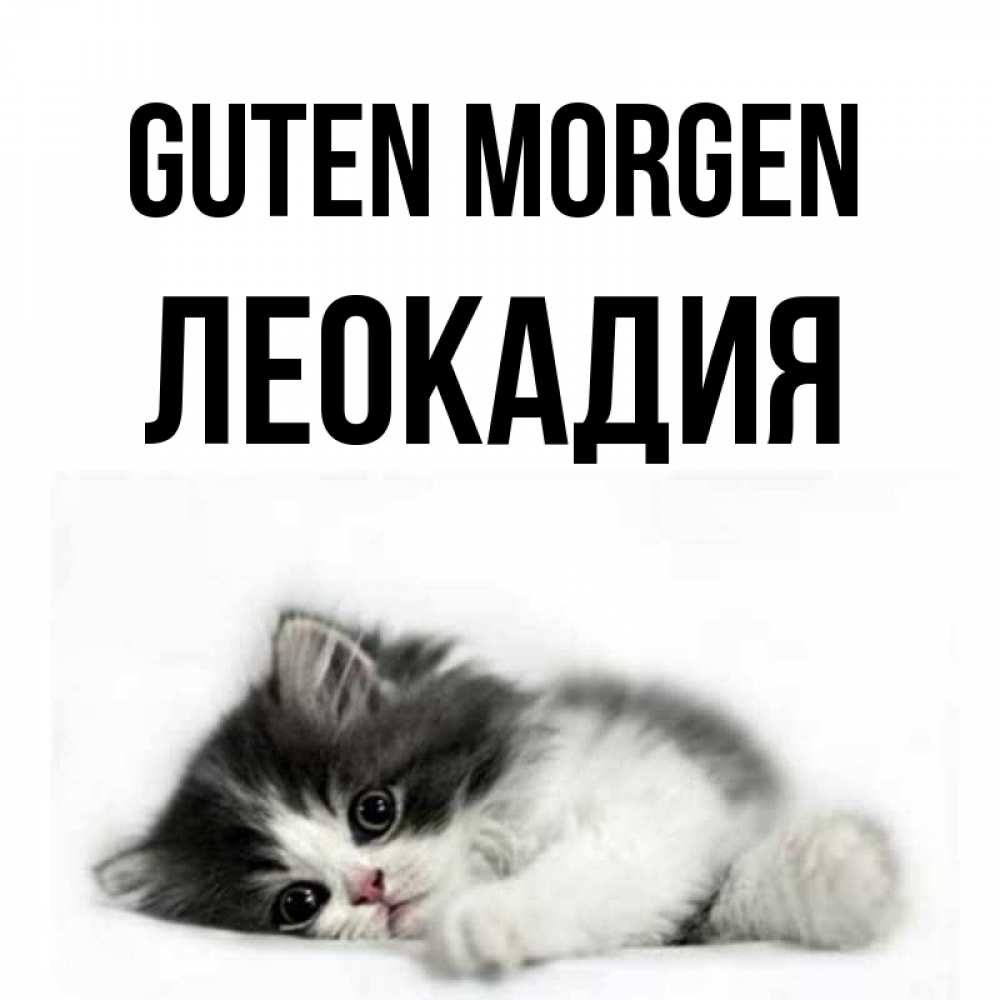 Открытка на каждый день с именем, Леокадия Guten Morgen кот лапки Прикольная открытка с пожеланием онлайн скачать бесплатно 