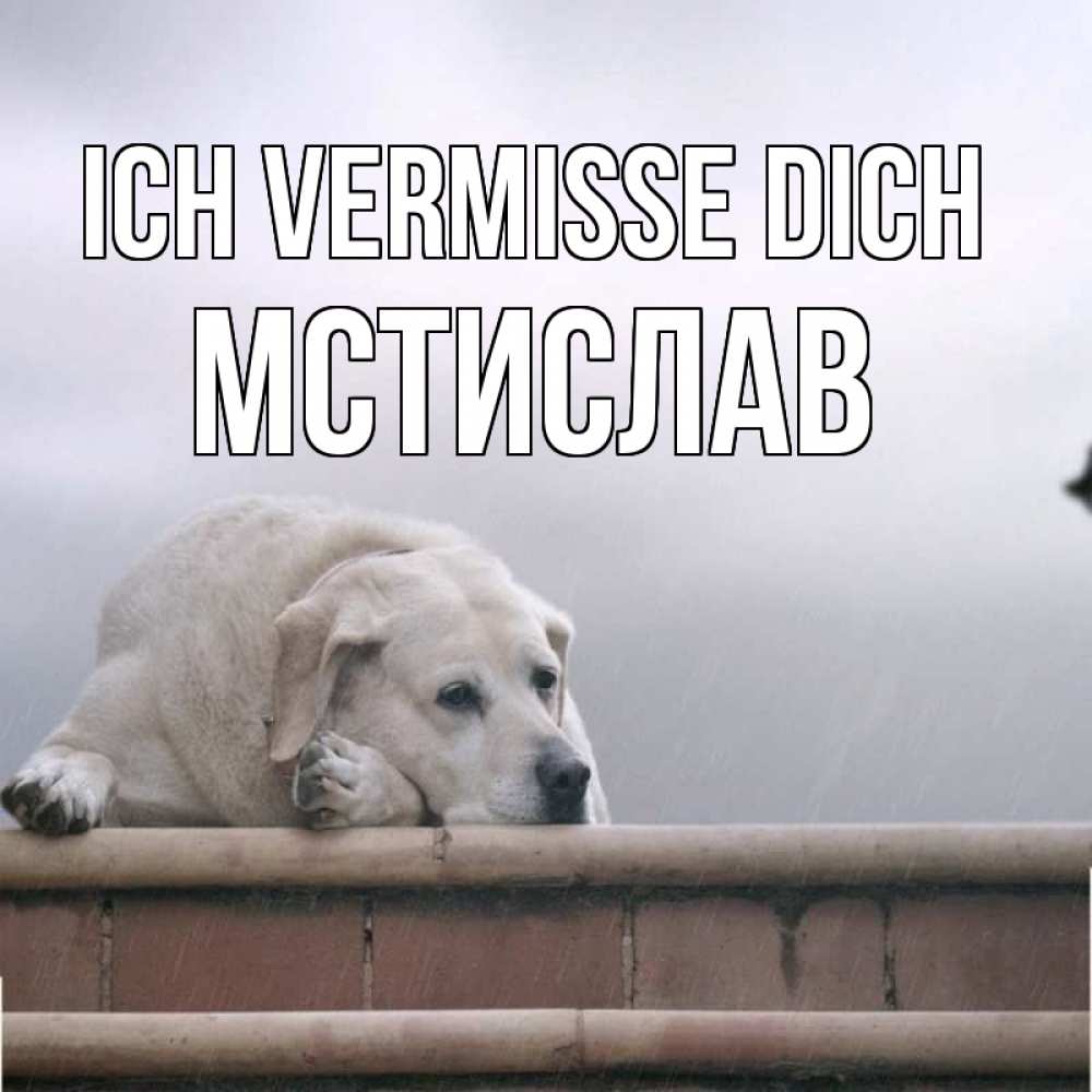 Открытка на каждый день с именем, Мстислав Ich vermisse dich ждет Прикольная открытка с пожеланием онлайн скачать бесплатно 