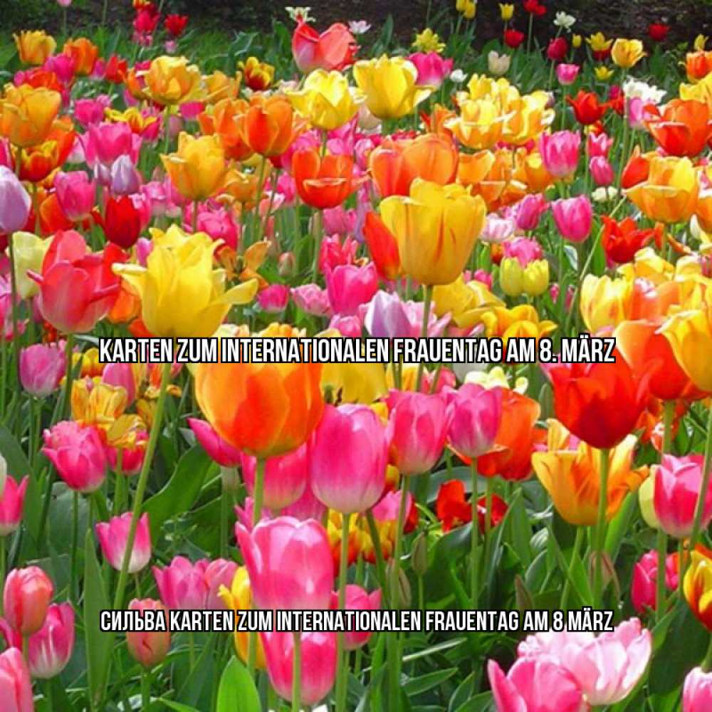 Картинка Karten zum Internationalen Frauentag am 8. März, Сильва