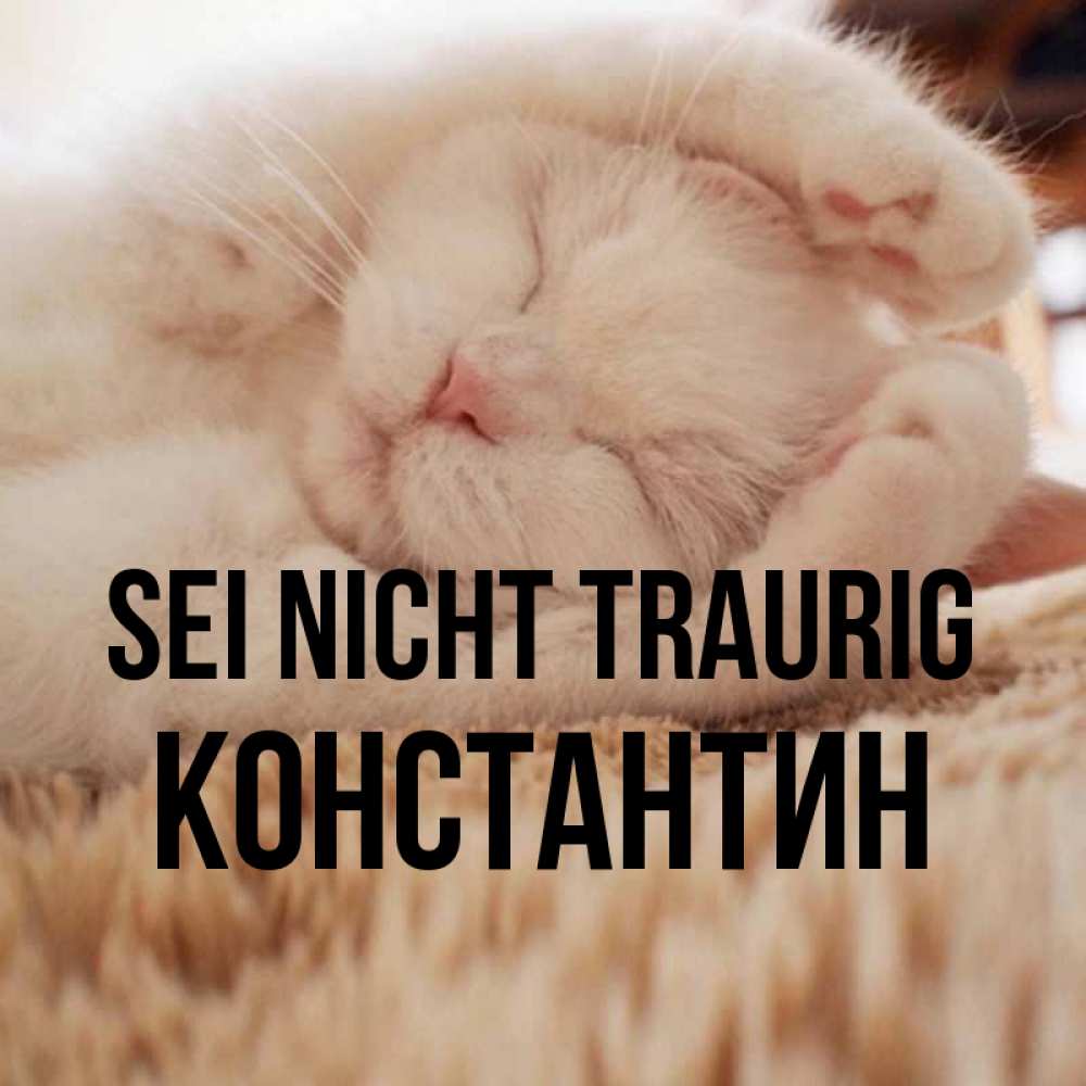 Открытка на каждый день с именем, Константин Sei nicht traurig Котенок спит Прикольная открытка с пожеланием онлайн скачать бесплатно 