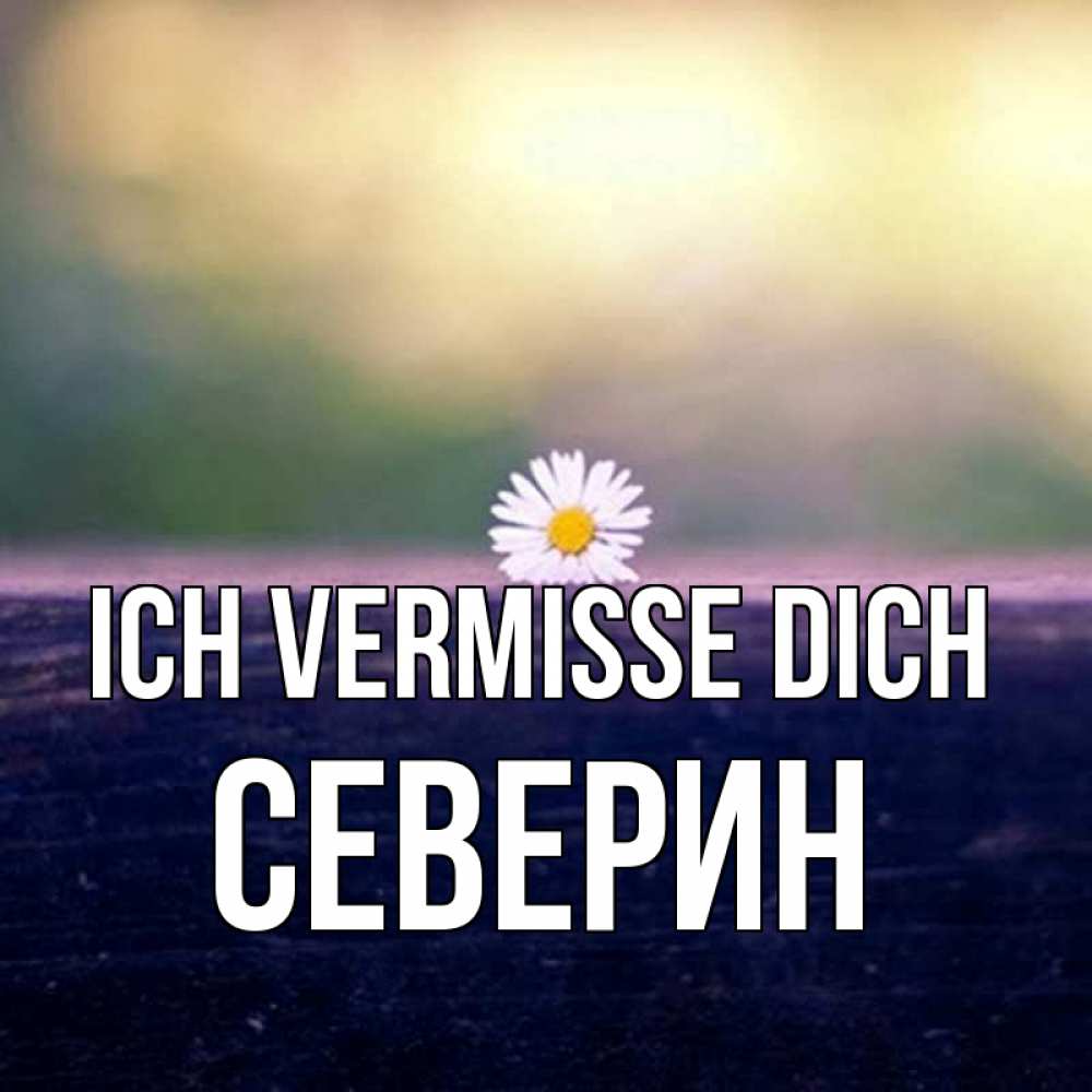 Открытка на каждый день с именем, Северин Ich vermisse dich приходи в гости Прикольная открытка с пожеланием онлайн скачать бесплатно 