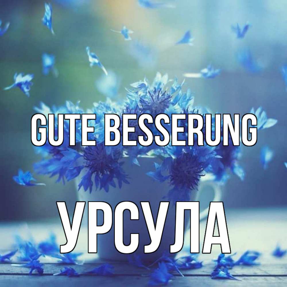 Открытка на каждый день с именем, Урсула Gute Besserung кружка с зельем и цветами Прикольная открытка с пожеланием онлайн скачать бесплатно 