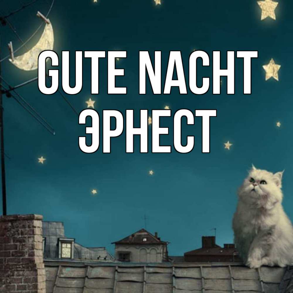 Открытка на каждый день с именем, Эрнест Gute Nacht белый кот сидит на крыше Прикольная открытка с пожеланием онлайн скачать бесплатно 