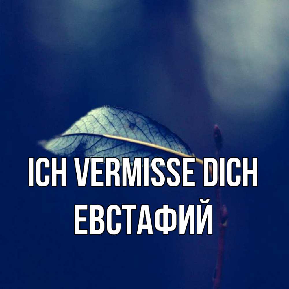 Открытка на каждый день с именем, Евстафий Ich vermisse dich одна ветка 1 Прикольная открытка с пожеланием онлайн скачать бесплатно 