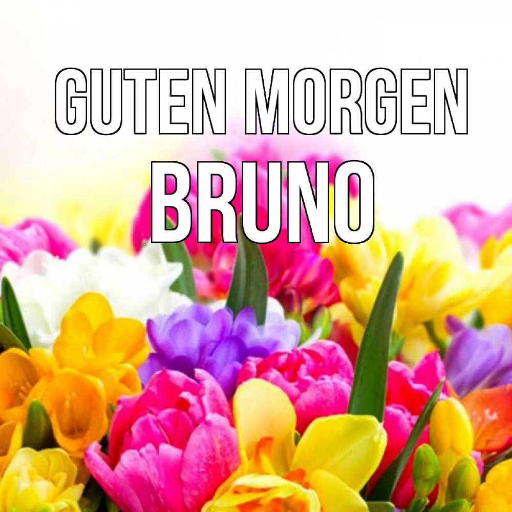 Открытка на каждый день с именем, Bruno Guten Morgen создать открытку со свое подписью Прикольная открытка с пожеланием онлайн скачать бесплатно 