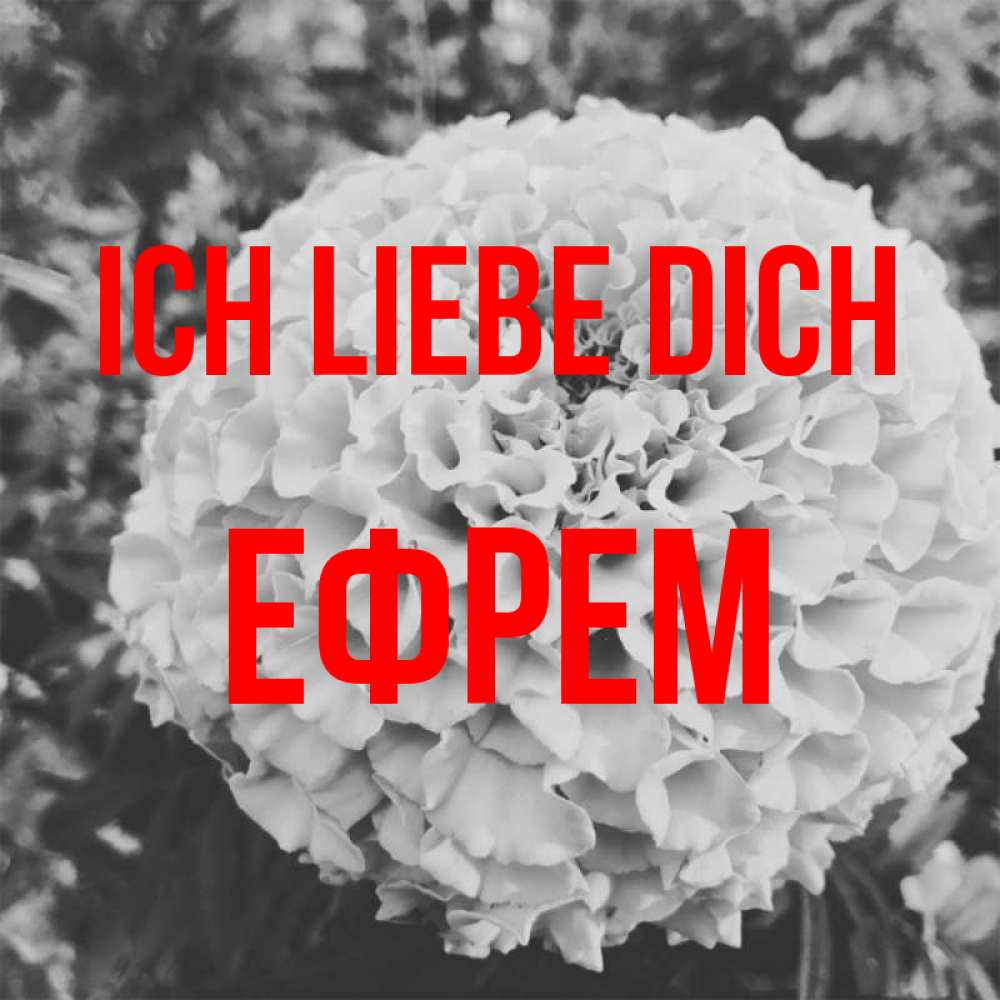 Открытка на каждый день с именем, Ефрем Ich liebe dich подпись Прикольная открытка с пожеланием онлайн скачать бесплатно 
