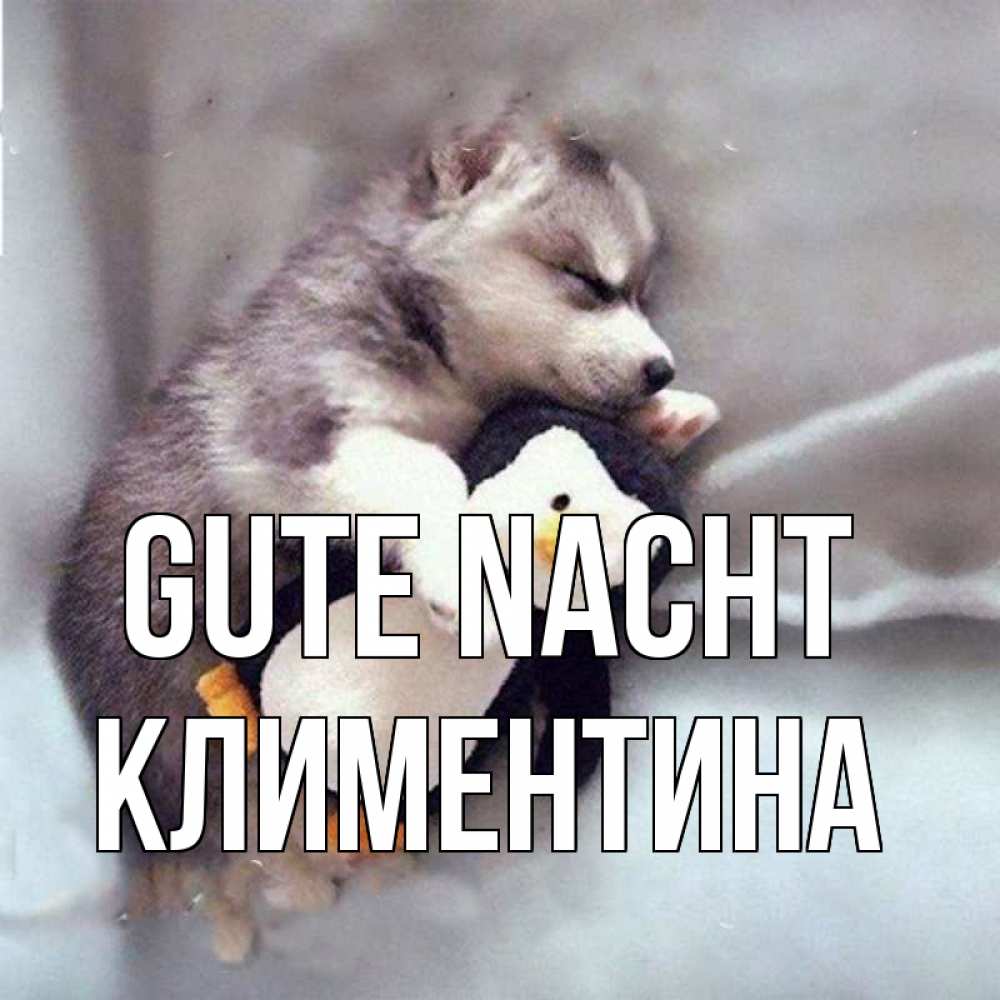 Открытка на каждый день с именем, Климентина Gute Nacht обнимашки щенка и пингвина Прикольная открытка с пожеланием онлайн скачать бесплатно 