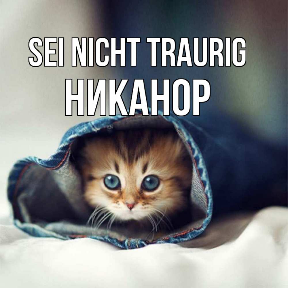 Открытка на каждый день с именем, Никанор Sei nicht traurig рыжик котик Прикольная открытка с пожеланием онлайн скачать бесплатно 