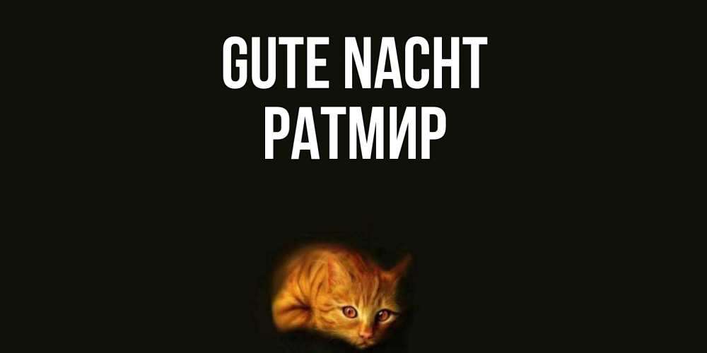 Открытка на каждый день с именем, Ратмир Gute Nacht кот Прикольная открытка с пожеланием онлайн скачать бесплатно 