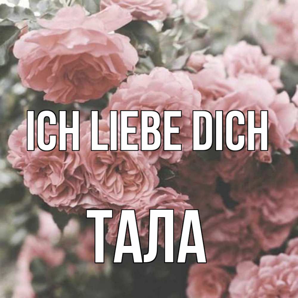 Открытка на каждый день с именем, Тала Ich liebe dich розы 3 Прикольная открытка с пожеланием онлайн скачать бесплатно 