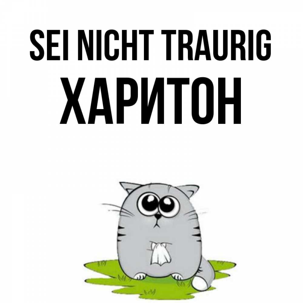 Открытка на каждый день с именем, Харитон Sei nicht traurig грустный котяра Прикольная открытка с пожеланием онлайн скачать бесплатно 