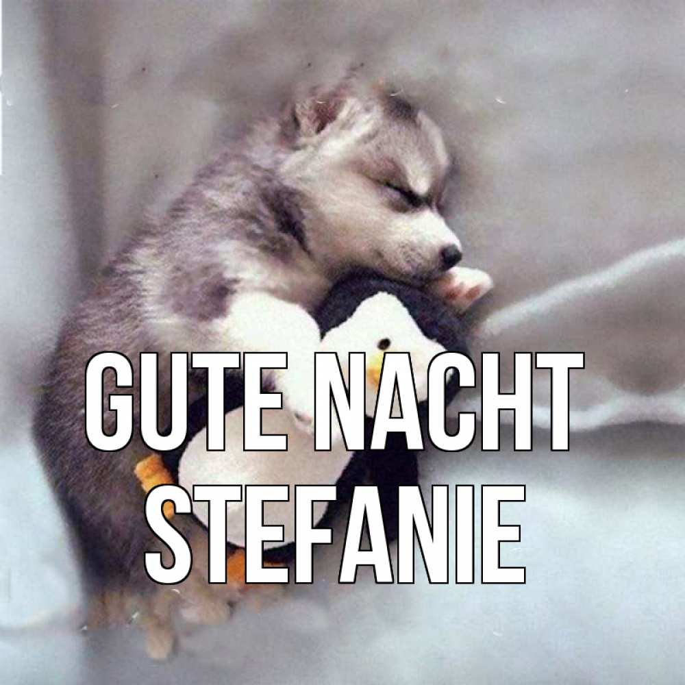 Открытка на каждый день с именем, Stefanie Gute Nacht обнимашки щенка и пингвина Прикольная открытка с пожеланием онлайн скачать бесплатно 
