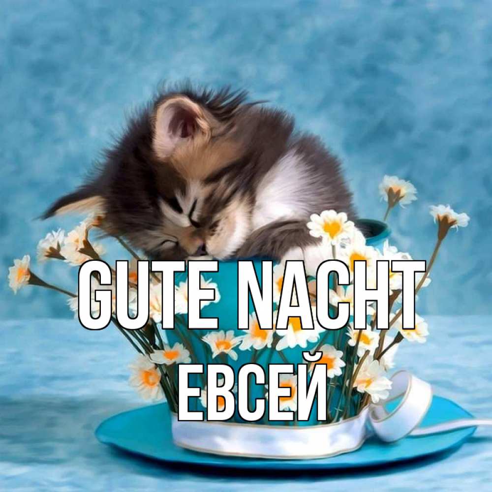 Открытка на каждый день с именем, Евсей Gute Nacht котенок спит в кружке с блюдцем Прикольная открытка с пожеланием онлайн скачать бесплатно 