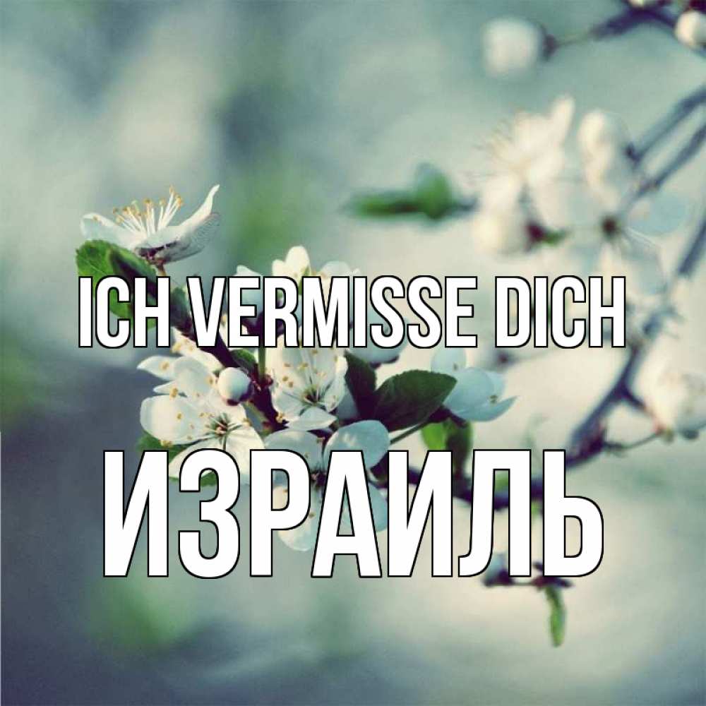 Открытка на каждый день с именем, Израиль Ich vermisse dich весна Прикольная открытка с пожеланием онлайн скачать бесплатно 