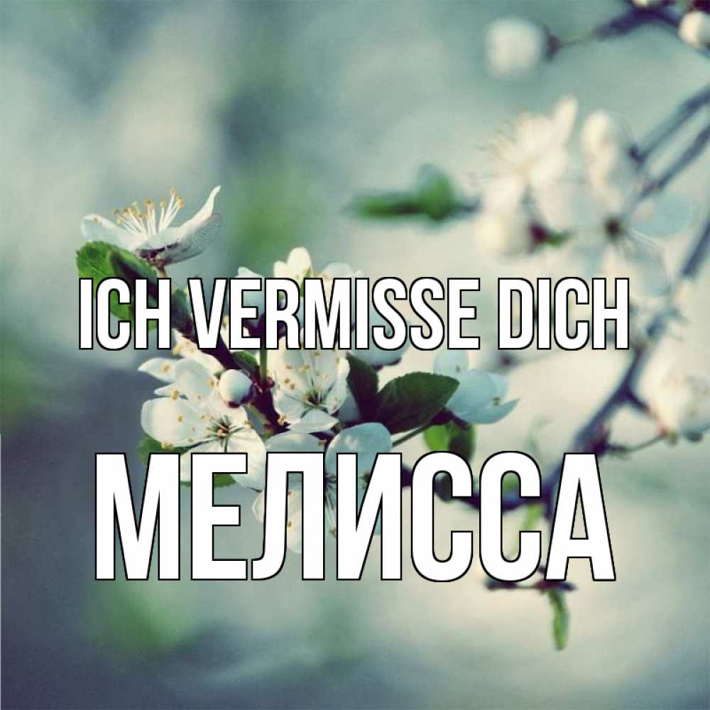 Открытка на каждый день с именем, Мелисса Ich vermisse dich весна Прикольная открытка с пожеланием онлайн скачать бесплатно 