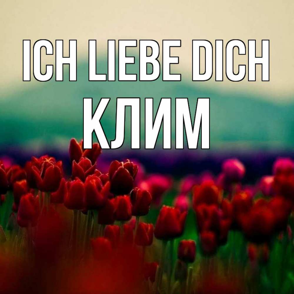 Открытка на каждый день с именем, Клим Ich liebe dich тюльпаны 4 Прикольная открытка с пожеланием онлайн скачать бесплатно 