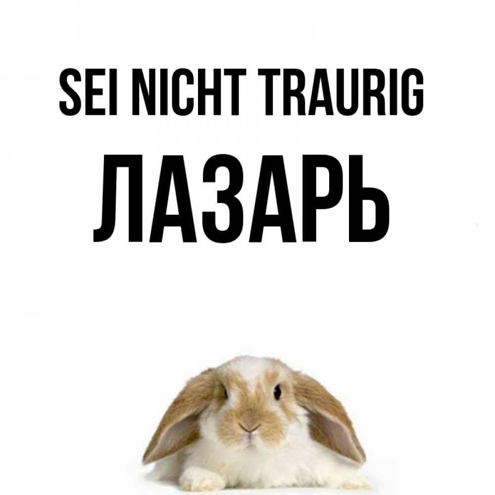 Открытка на каждый день с именем, Лазарь Sei nicht traurig коричнево белый заяц с большими ушками Прикольная открытка с пожеланием онлайн скачать бесплатно 