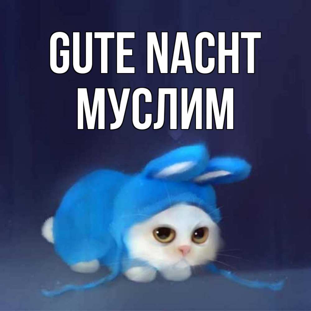 Открытка на каждый день с именем, Муслим Gute Nacht кот в голубом костюме кролика с ушками Прикольная открытка с пожеланием онлайн скачать бесплатно 