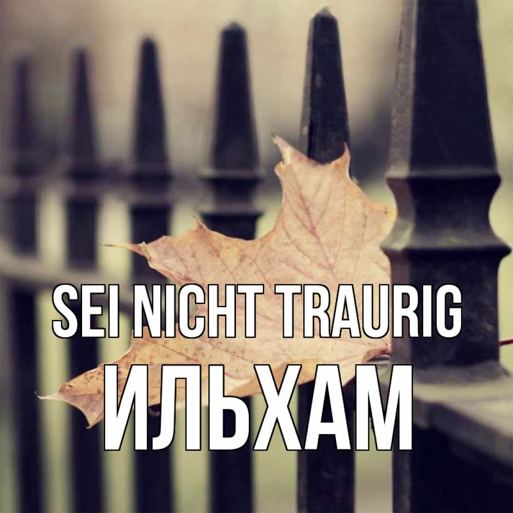 Открытка на каждый день с именем, Ильхам Sei nicht traurig лист клена Прикольная открытка с пожеланием онлайн скачать бесплатно 