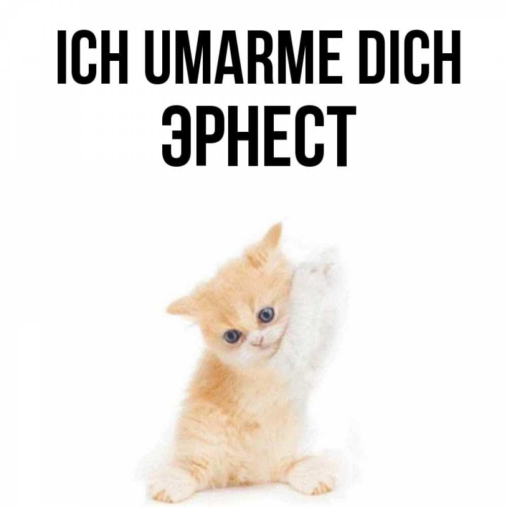 Открытка на каждый день с именем, Эрнест Ich umarme dich я хочу очень скорее обнимаешек Прикольная открытка с пожеланием онлайн скачать бесплатно 