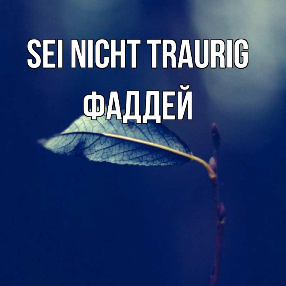 Открытка на каждый день с именем, Фаддей Sei nicht traurig растение Прикольная открытка с пожеланием онлайн скачать бесплатно 