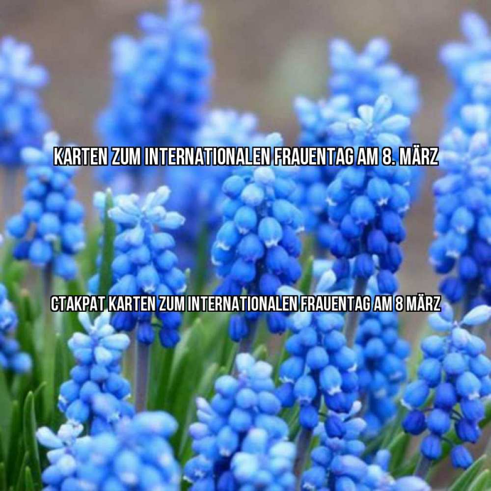 Картинка Karten zum Internationalen Frauentag am 8. März, Стакрат
