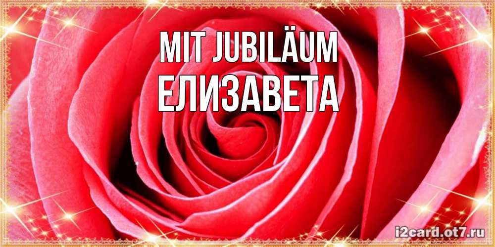 Открытка на каждый день с именем, Елизавета Mit Jubiläum розовая роза очень крупный бутон Прикольная открытка с пожеланием онлайн скачать бесплатно 