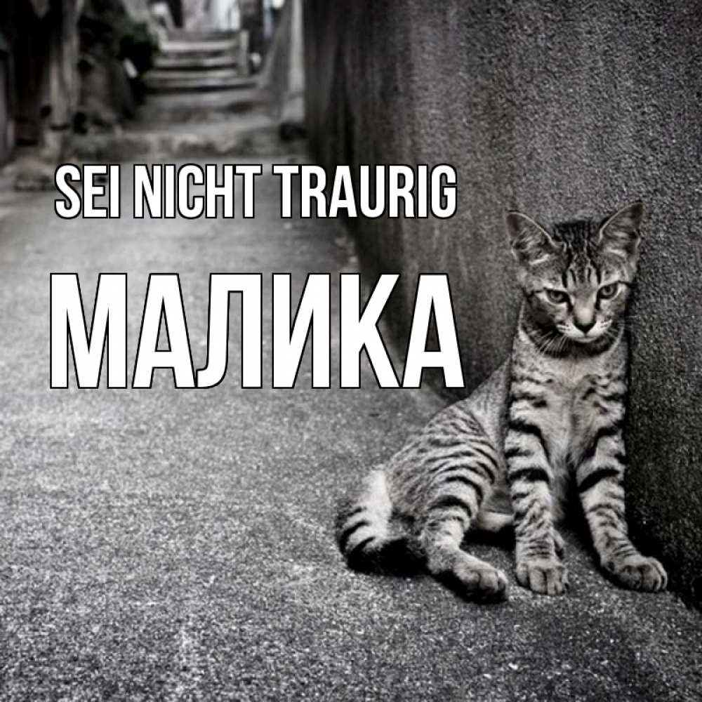 Открытка на каждый день с именем, Малика Sei nicht traurig скучающий котик Прикольная открытка с пожеланием онлайн скачать бесплатно 