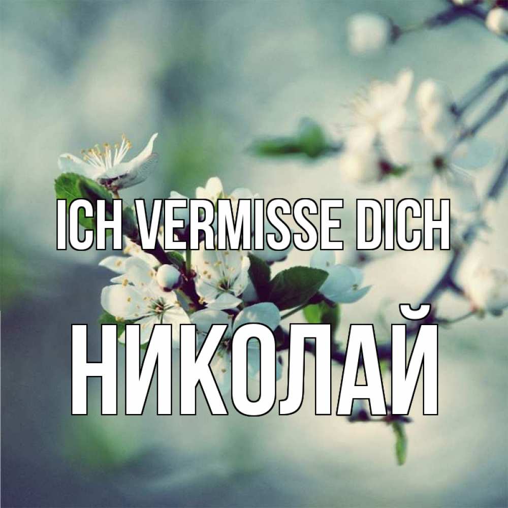 Открытка на каждый день с именем, Николай Ich vermisse dich весна Прикольная открытка с пожеланием онлайн скачать бесплатно 