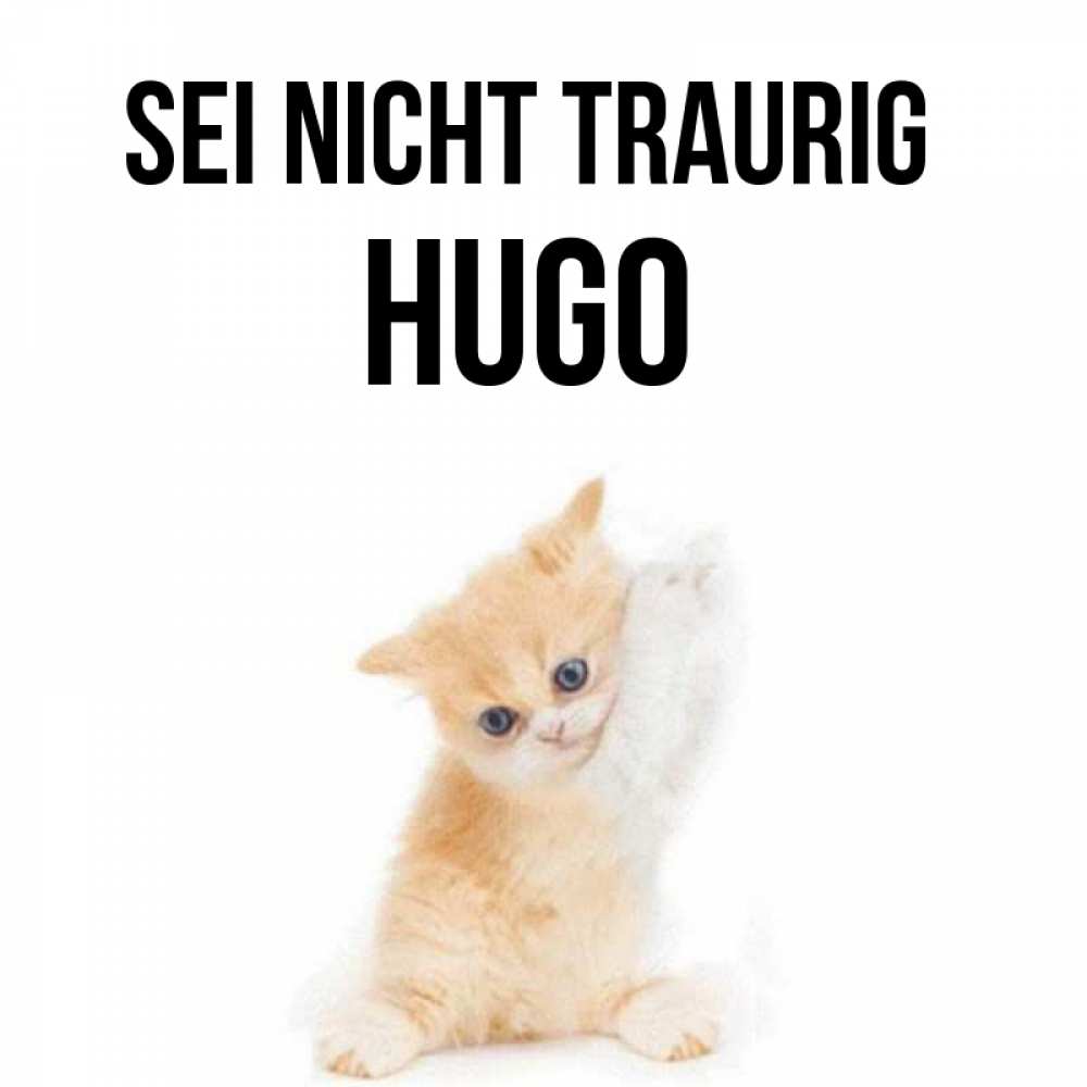 Открытка на каждый день с именем, Hugo Sei nicht traurig просящий кот Прикольная открытка с пожеланием онлайн скачать бесплатно 