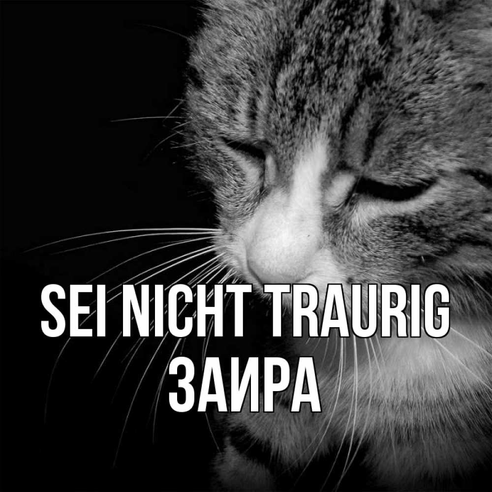 Открытка на каждый день с именем, Заира Sei nicht traurig грустный котик Прикольная открытка с пожеланием онлайн скачать бесплатно 