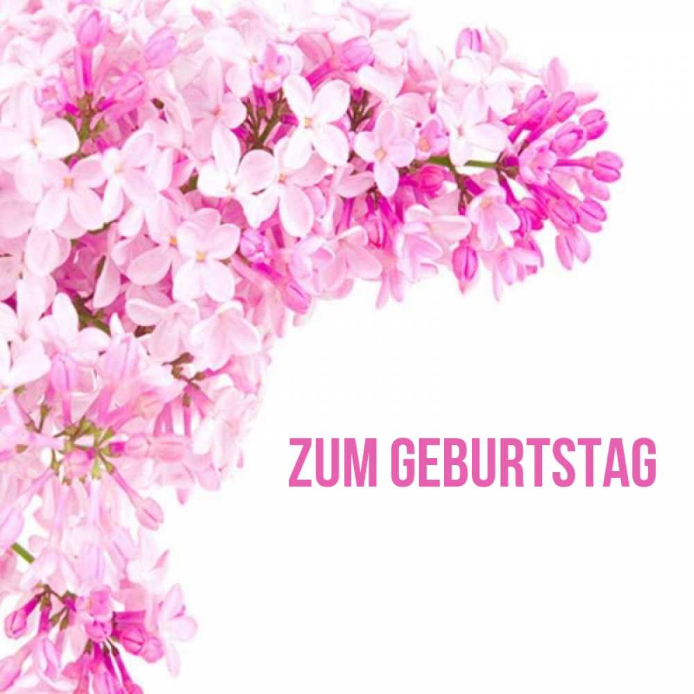Открытка на каждый день с именем, выберите-имя Zum Geburtstag Сирень на белом фоне Прикольная открытка с пожеланием онлайн скачать бесплатно 