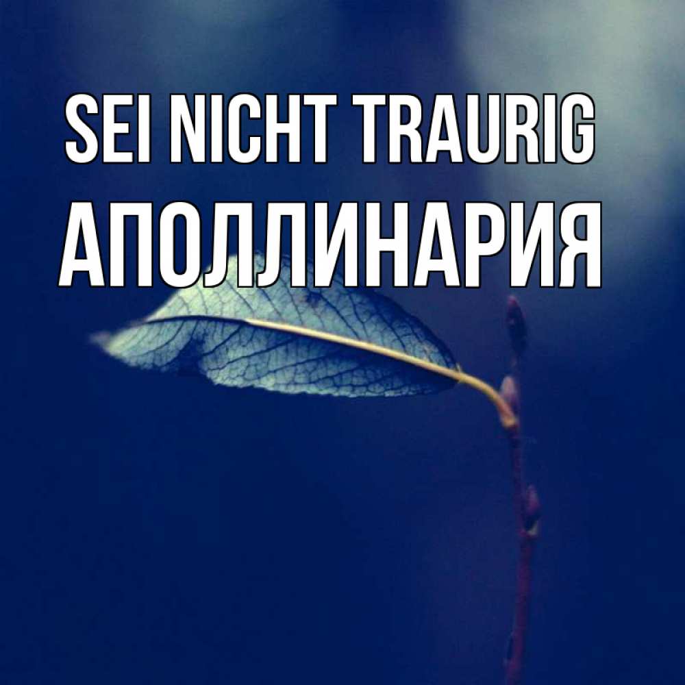 Открытка на каждый день с именем, Аполлинария Sei nicht traurig растение Прикольная открытка с пожеланием онлайн скачать бесплатно 