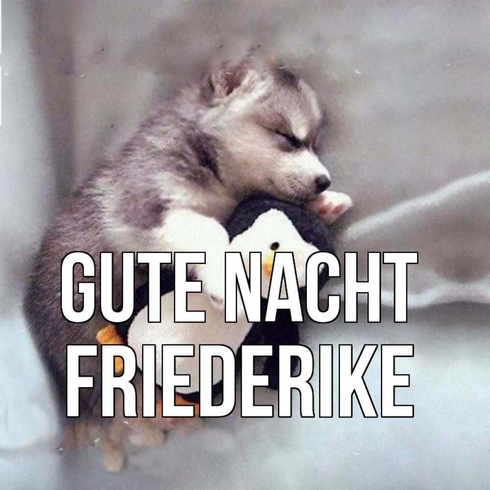 Открытка на каждый день с именем, Friederike Gute Nacht обнимашки щенка и пингвина Прикольная открытка с пожеланием онлайн скачать бесплатно 