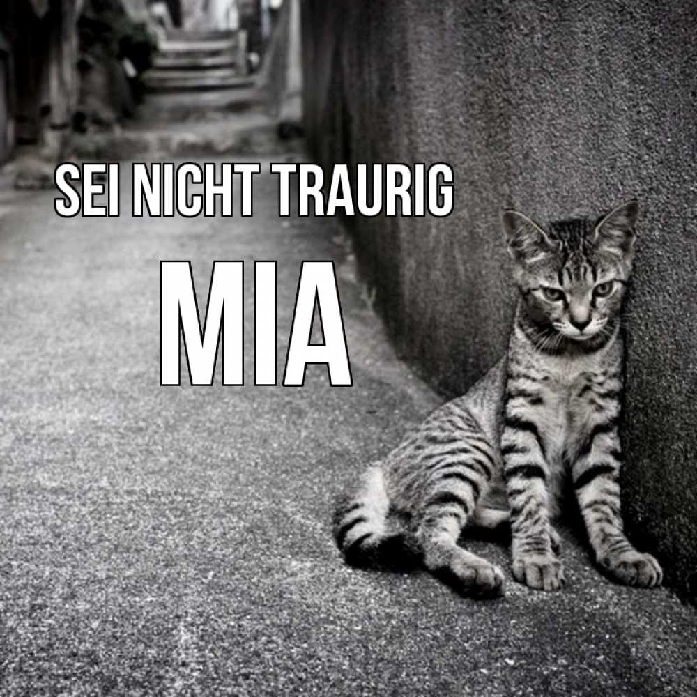 Открытка на каждый день с именем, Mia Sei nicht traurig скучающий котик Прикольная открытка с пожеланием онлайн скачать бесплатно 