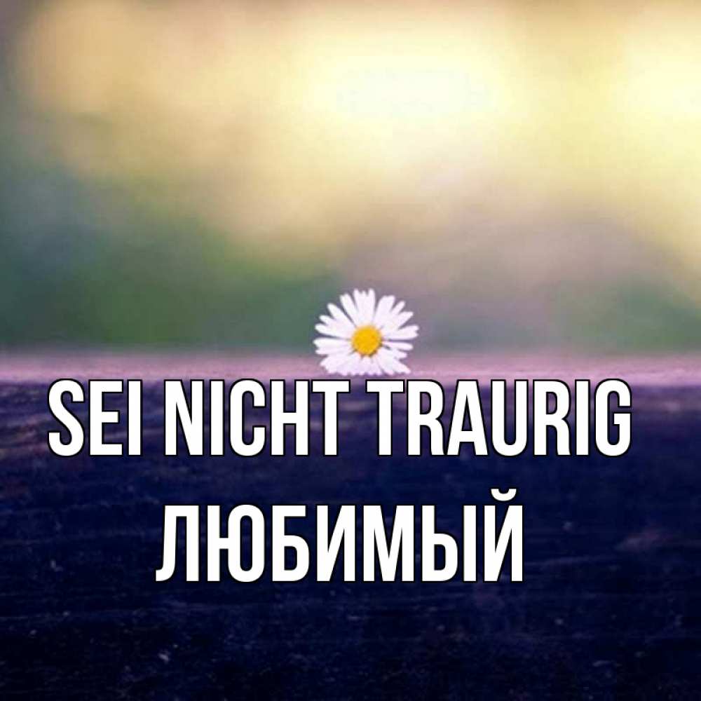 Открытка на каждый день с именем, Любимый Sei nicht traurig красота Прикольная открытка с пожеланием онлайн скачать бесплатно 