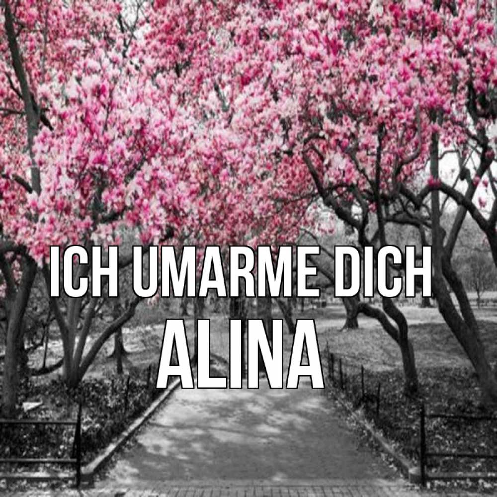 Открытка на каждый день с именем, Alina Ich umarme dich обработанное фото Прикольная открытка с пожеланием онлайн скачать бесплатно 