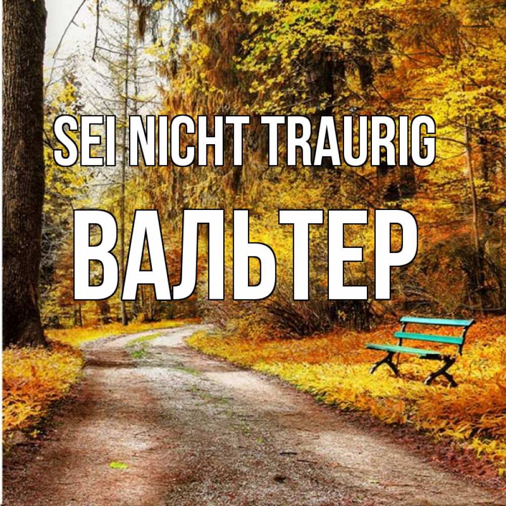 Открытка на каждый день с именем, Вальтер Sei nicht traurig зеленая лавочка Прикольная открытка с пожеланием онлайн скачать бесплатно 