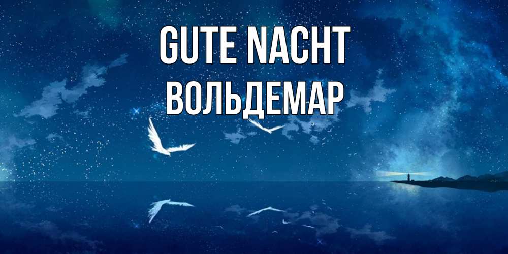 Открытка на каждый день с именем, Вольдемар Gute Nacht птицы летят на фоне ночного неба Прикольная открытка с пожеланием онлайн скачать бесплатно 