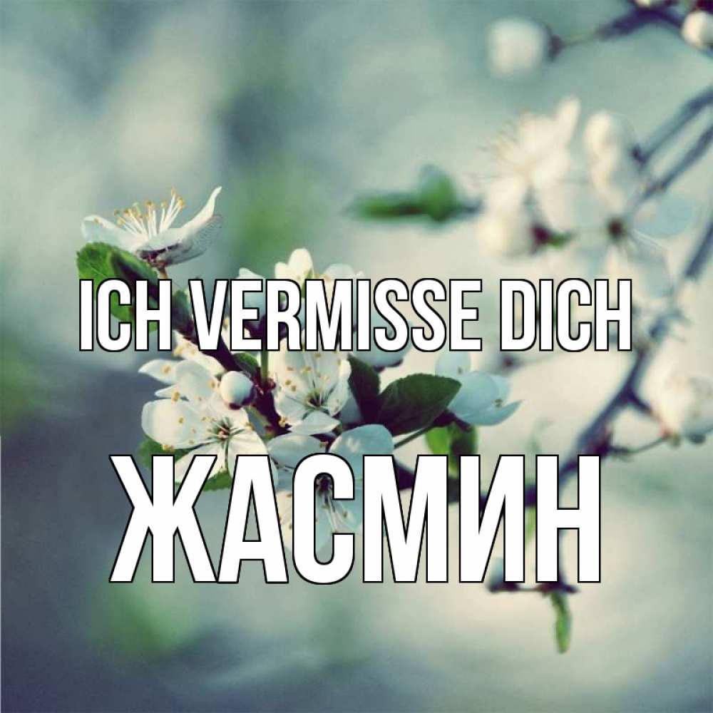 Открытка на каждый день с именем, Жасмин Ich vermisse dich весна Прикольная открытка с пожеланием онлайн скачать бесплатно 