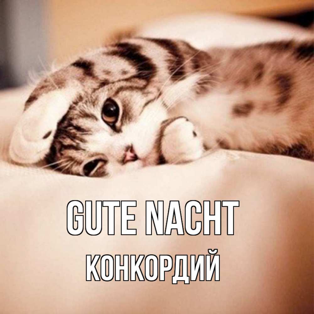 Открытка на каждый день с именем, Конкордий Gute Nacht сладких снов с животными Прикольная открытка с пожеланием онлайн скачать бесплатно 