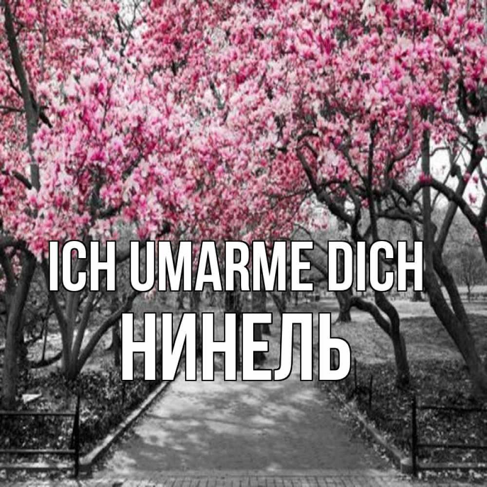 Открытка на каждый день с именем, Нинель Ich umarme dich обработанное фото Прикольная открытка с пожеланием онлайн скачать бесплатно 