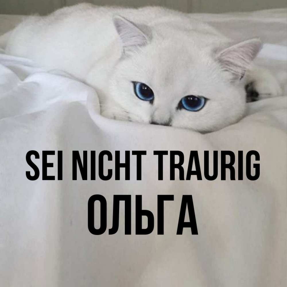 Открытка на каждый день с именем, Ольга Sei nicht traurig Голубоглазая кошка Прикольная открытка с пожеланием онлайн скачать бесплатно 