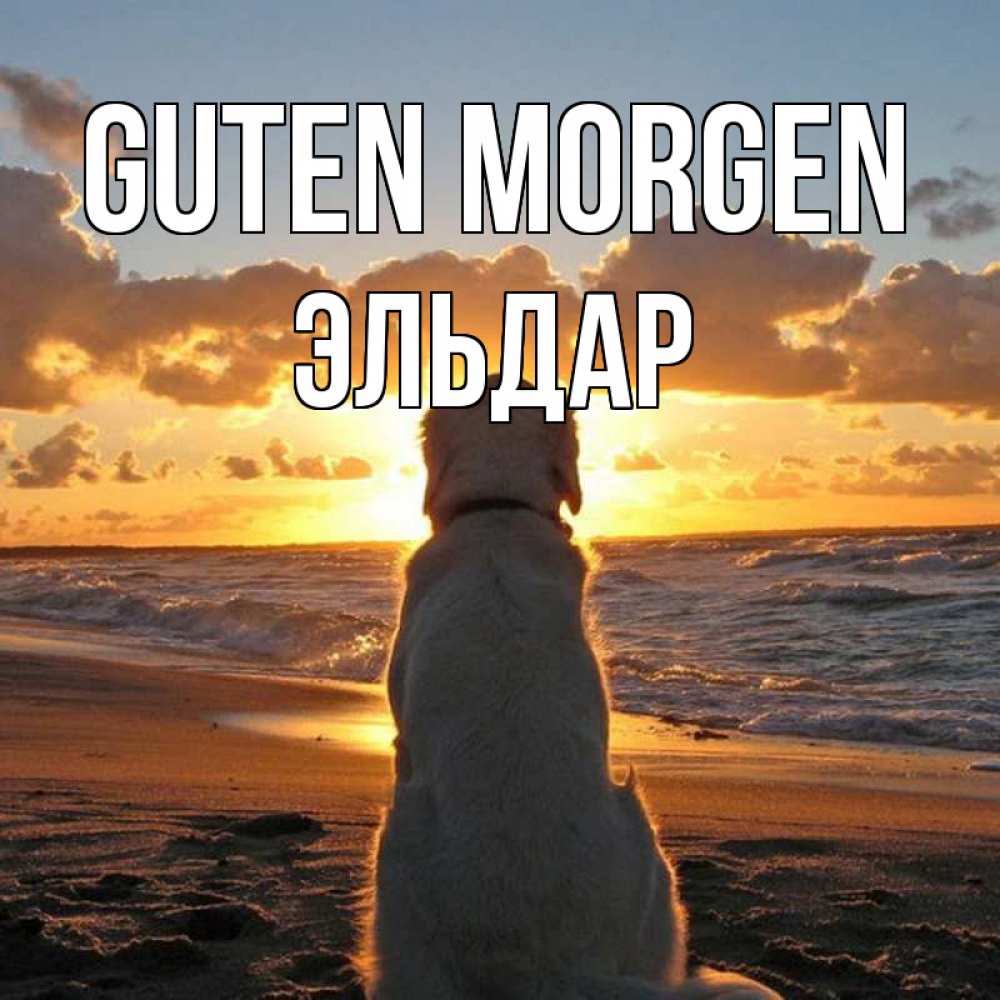Открытка на каждый день с именем, Эльдар Guten Morgen восход солнца Прикольная открытка с пожеланием онлайн скачать бесплатно 