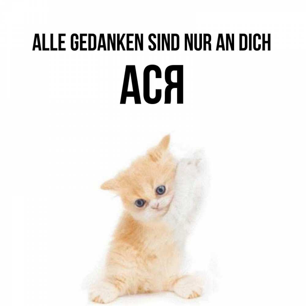 Открытка на каждый день с именем, Ася Alle Gedanken sind nur an dich зверушки и милота Прикольная открытка с пожеланием онлайн скачать бесплатно 