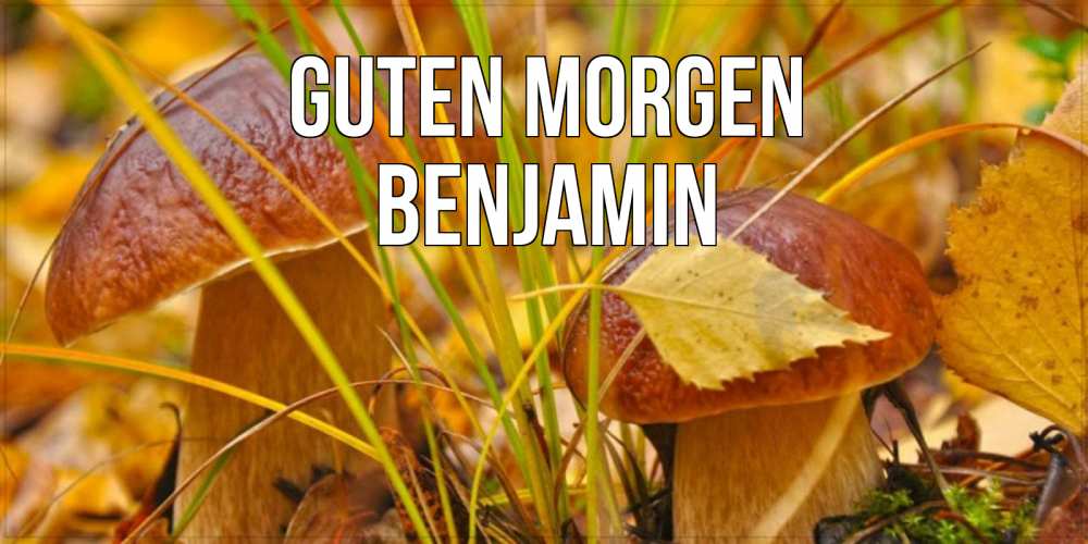 Открытка на каждый день с именем, Benjamin Guten Morgen осенние грибы Прикольная открытка с пожеланием онлайн скачать бесплатно 