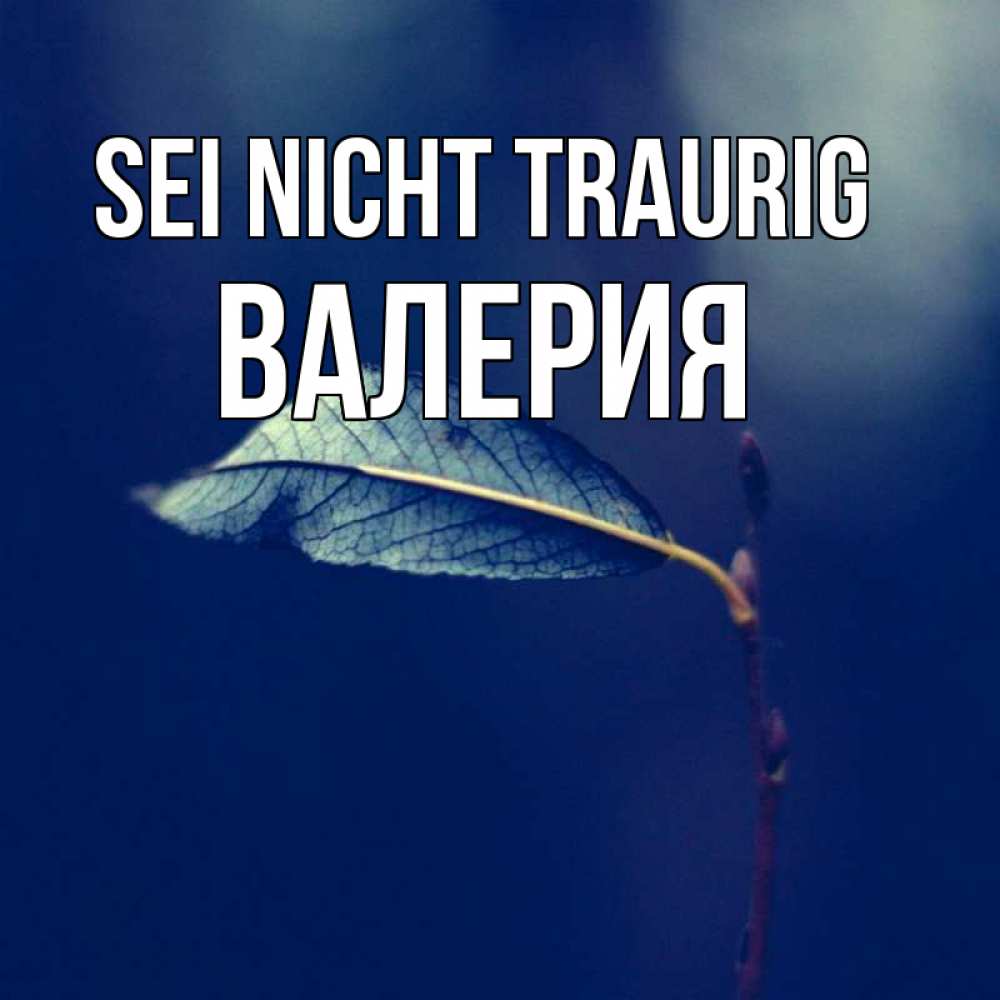 Открытка на каждый день с именем, Валерия Sei nicht traurig растение Прикольная открытка с пожеланием онлайн скачать бесплатно 